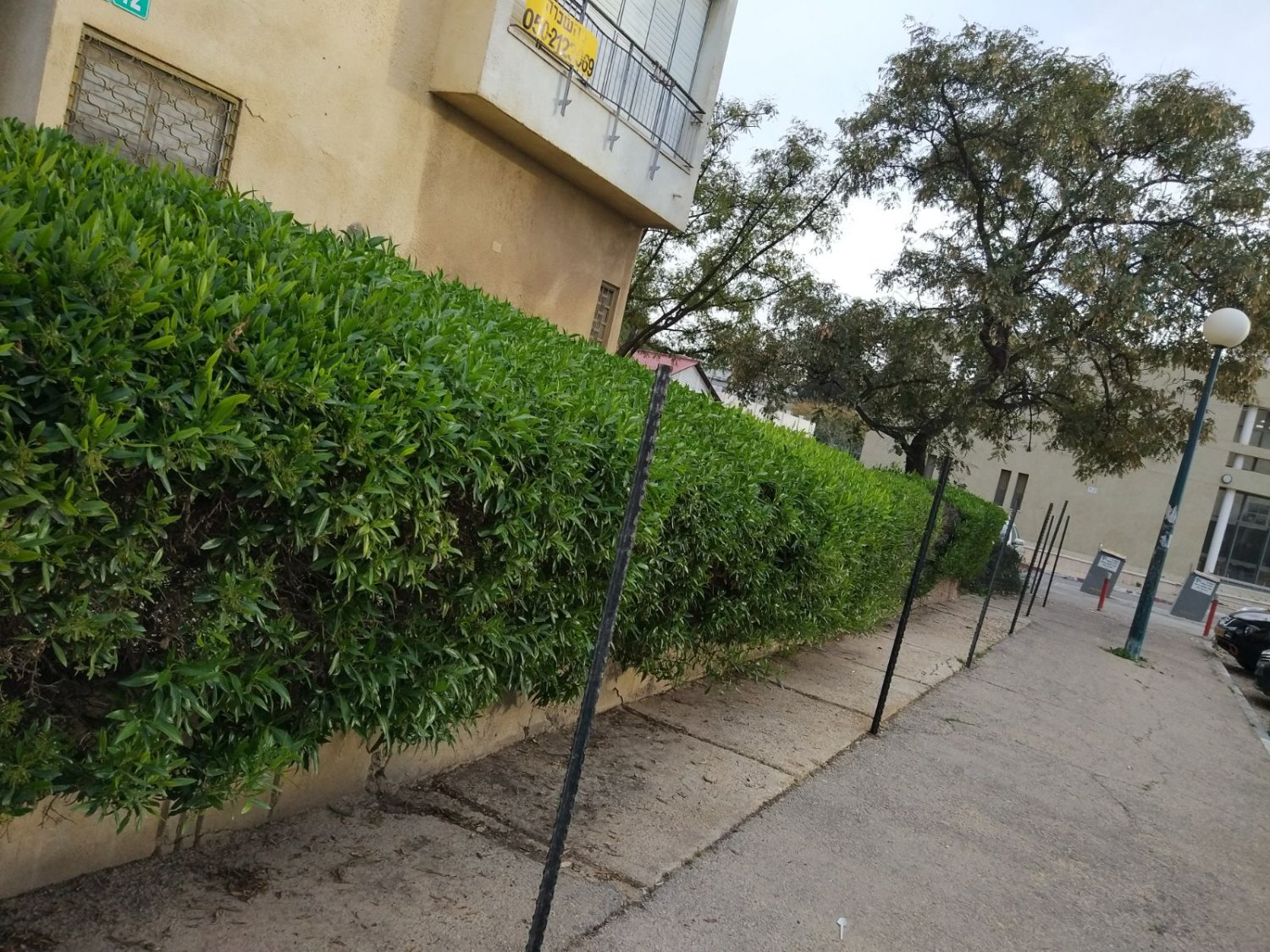 קפלן 12. צילום: יהלי אוזן