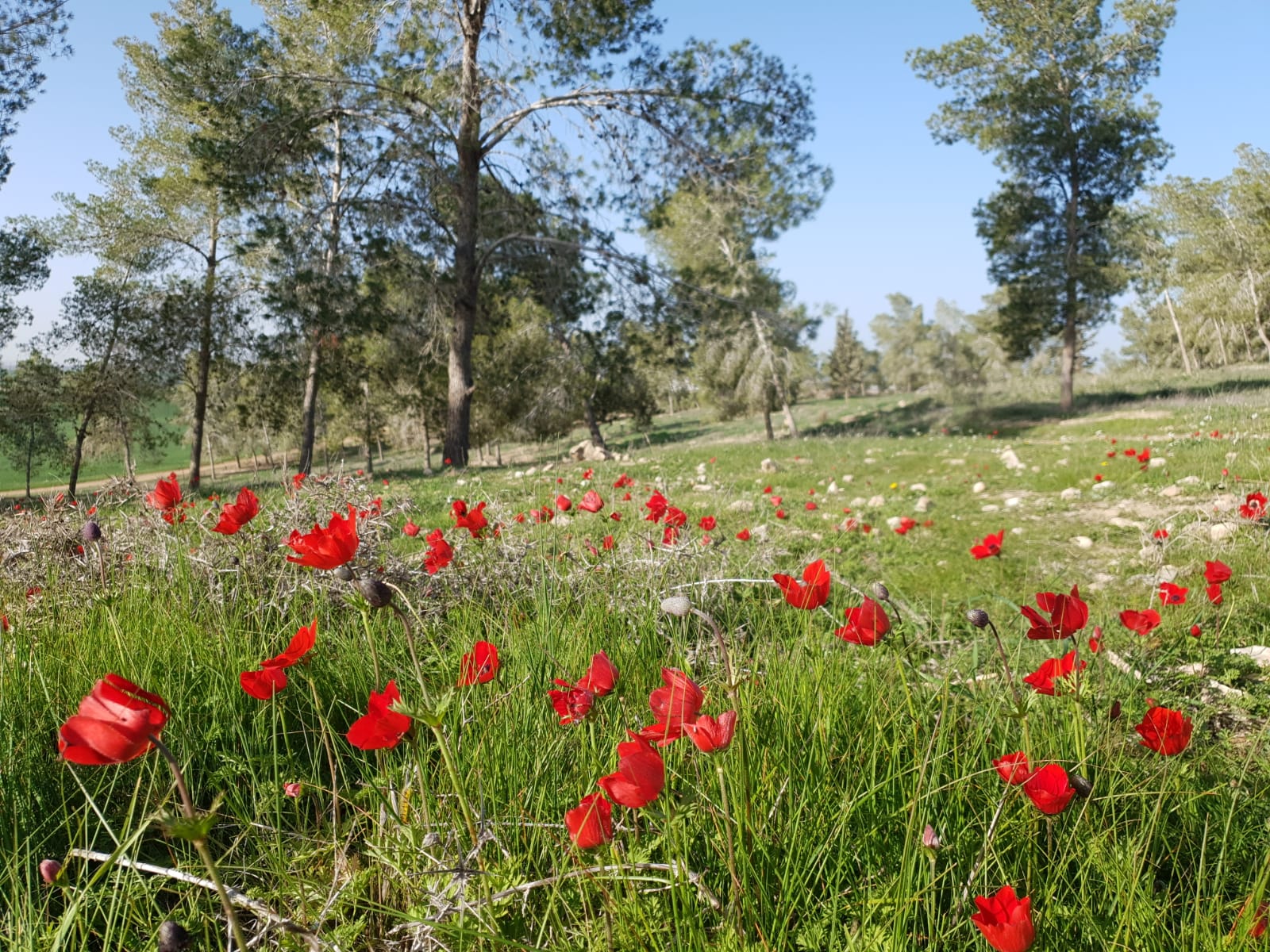  צילום: תיירות מועצה אזורית בני שמעון   
