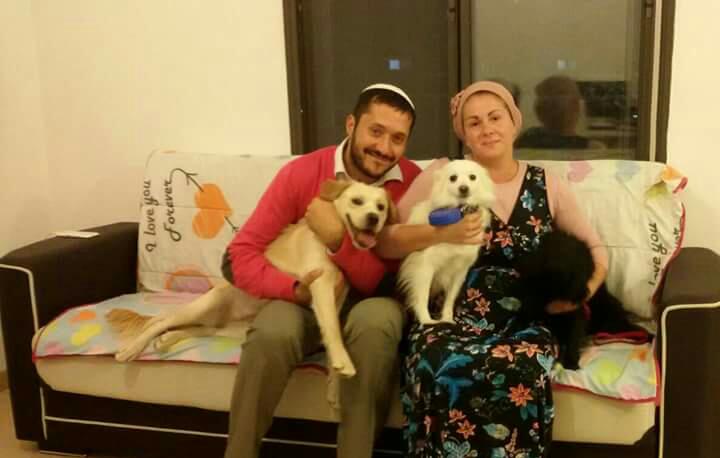 סיפור האהבה התחיל כאשר מלכה ביקשה לאמץ כלב מהסגר