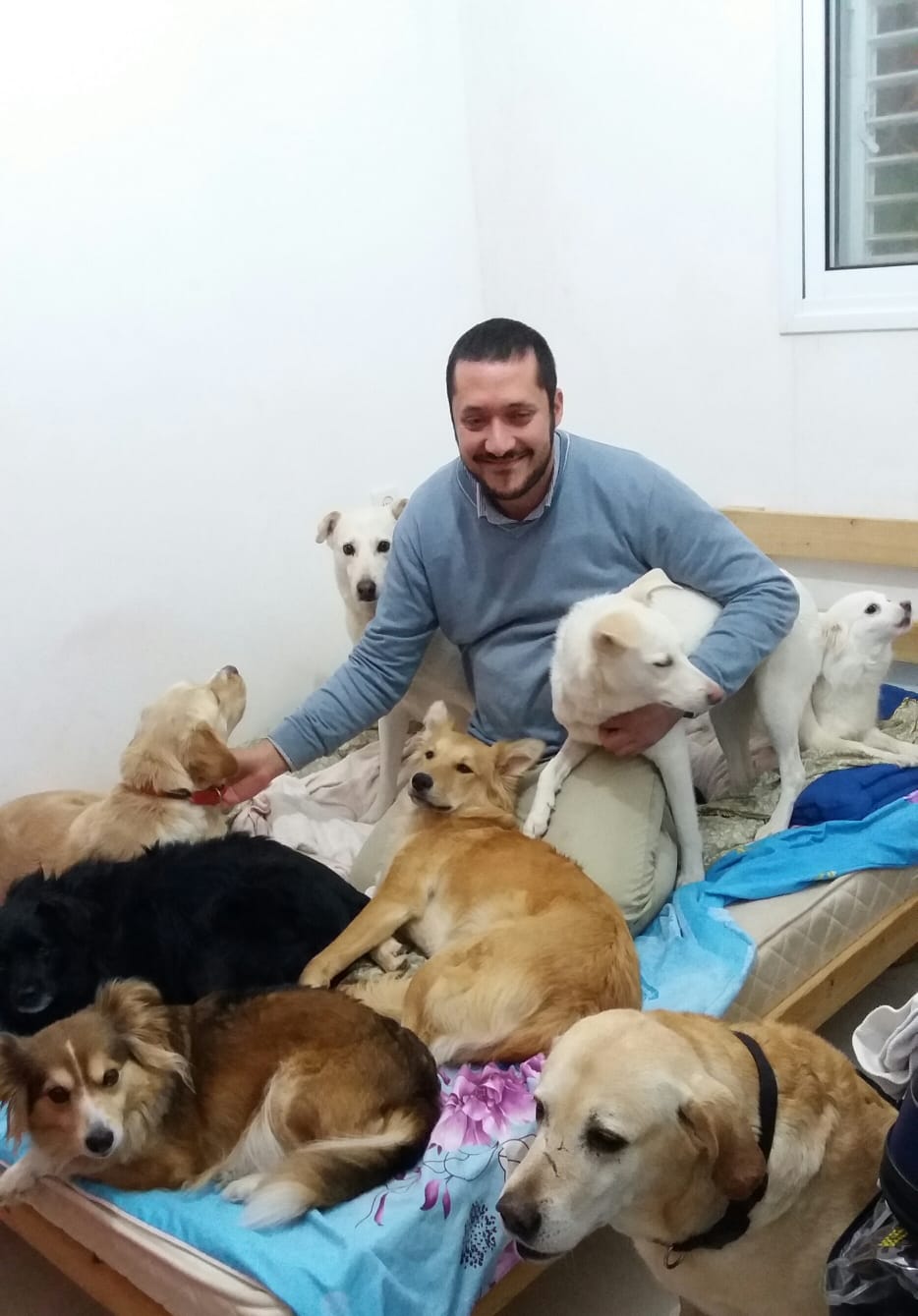 הגיעו למצב שהם מחזיקים ב-19 כלבים שננטשו