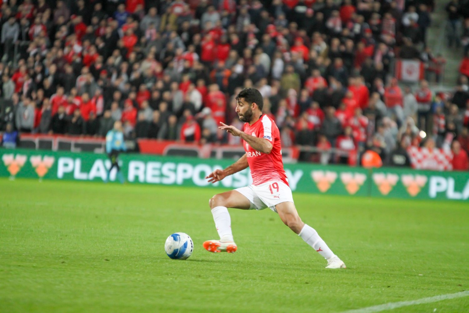 לטרנר הוא כבר לא יחזור - חן עזרא. צילום: זאב דיקמן