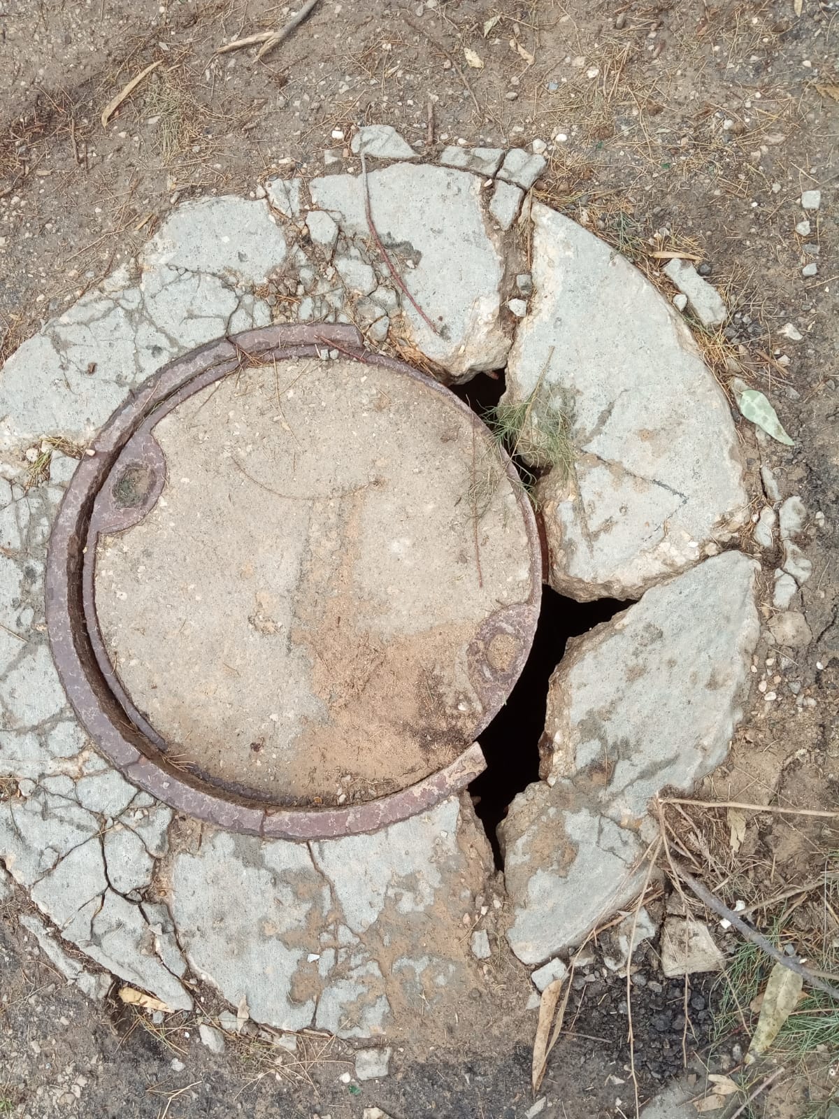 צילום: פרטי