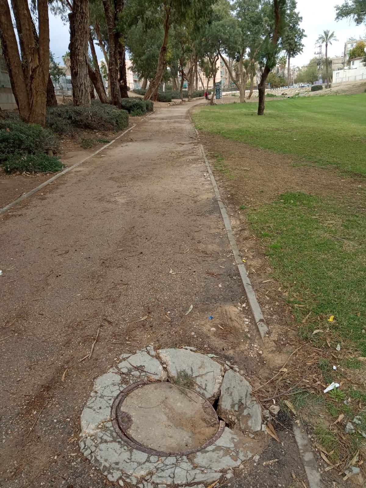 צילום: פרטי