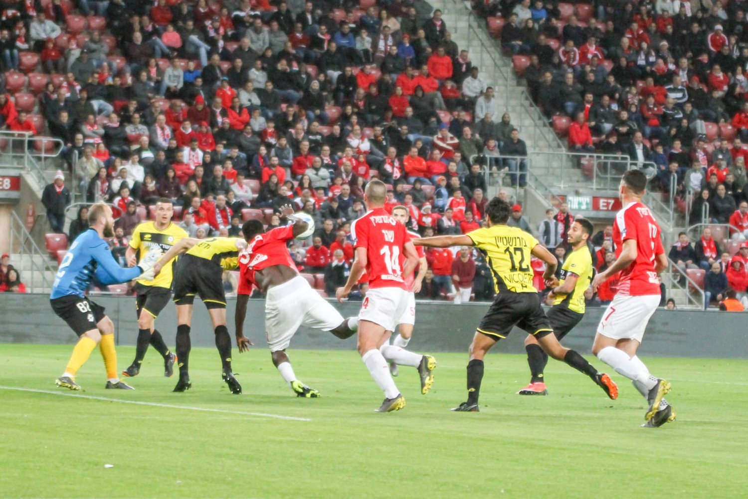 היה פנדל? צילום: זאב דיקמן