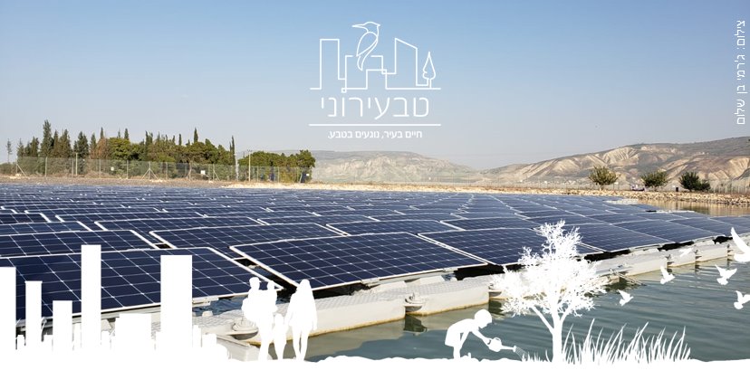 טבעירוני. צילום: ג'רמי בן שלום