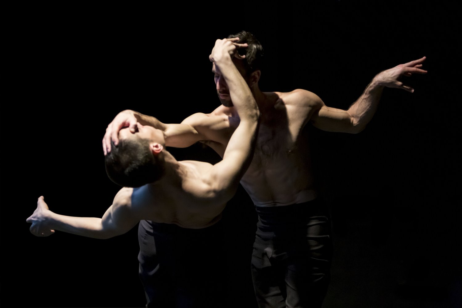 צילום: כפיר בולוטין