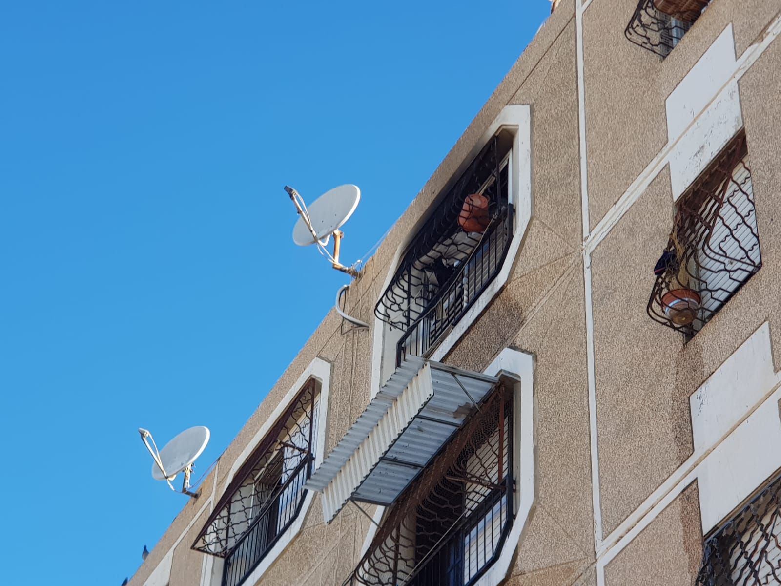 צילום: דוברות כיבוי והצלה