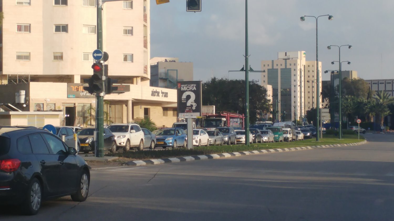 צילום: שרון טל