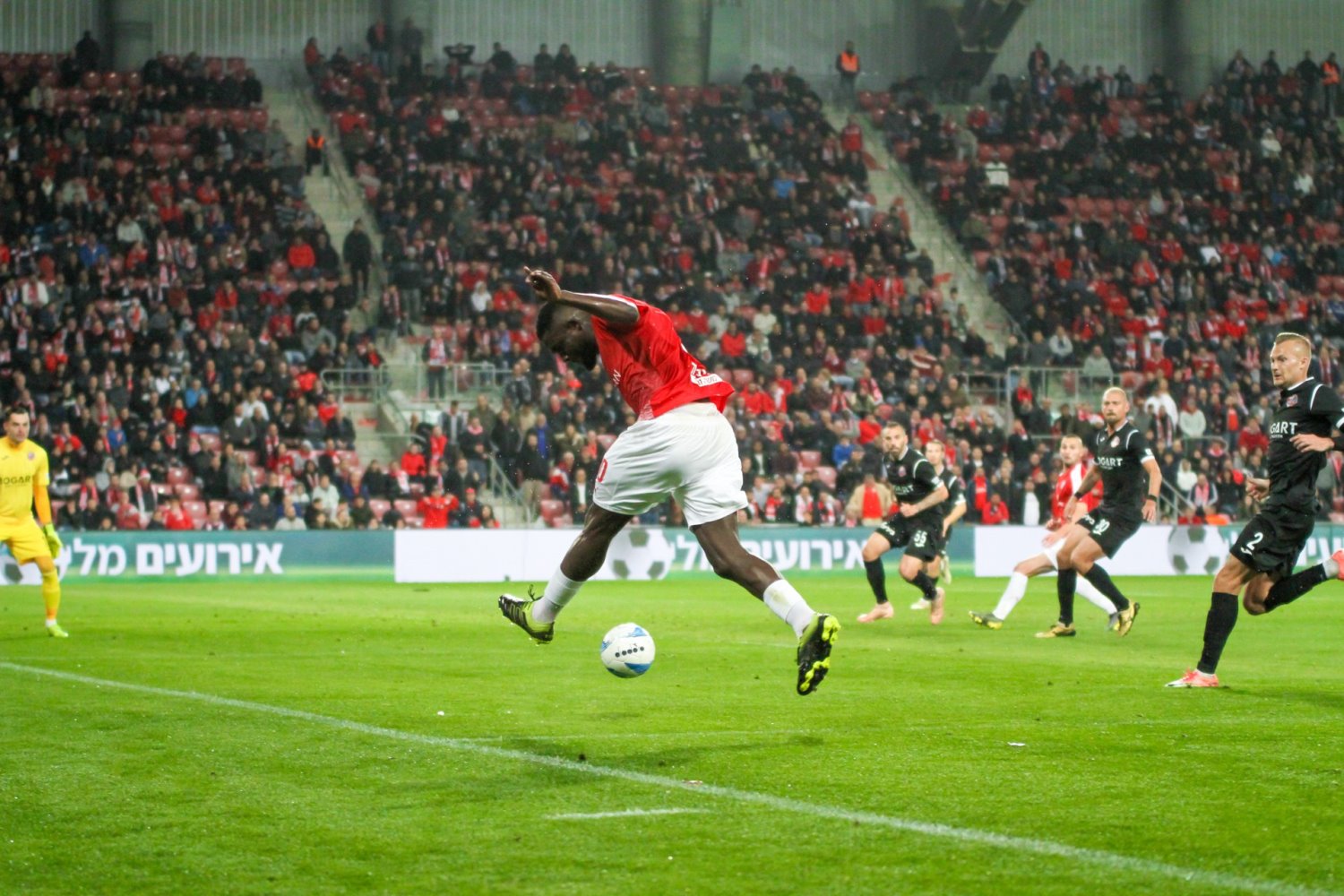 מושעה עד להודעה חדשה. צילום: זאב דיקמן