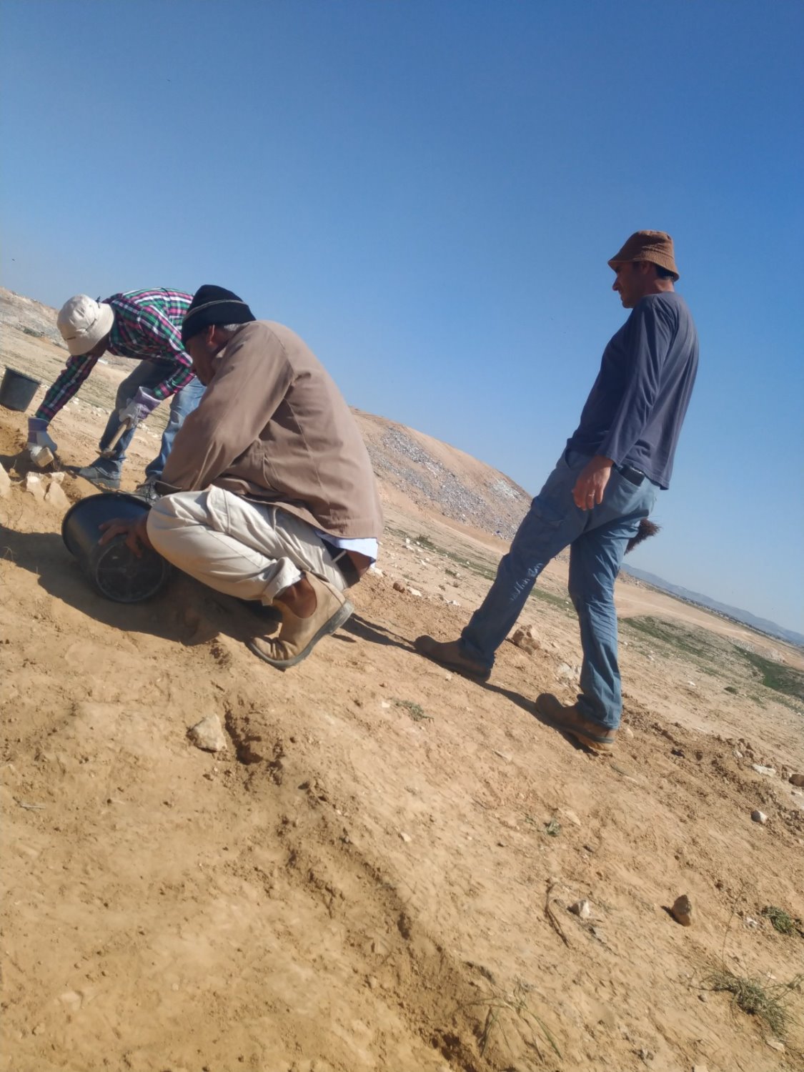 צילום: חזי נקש