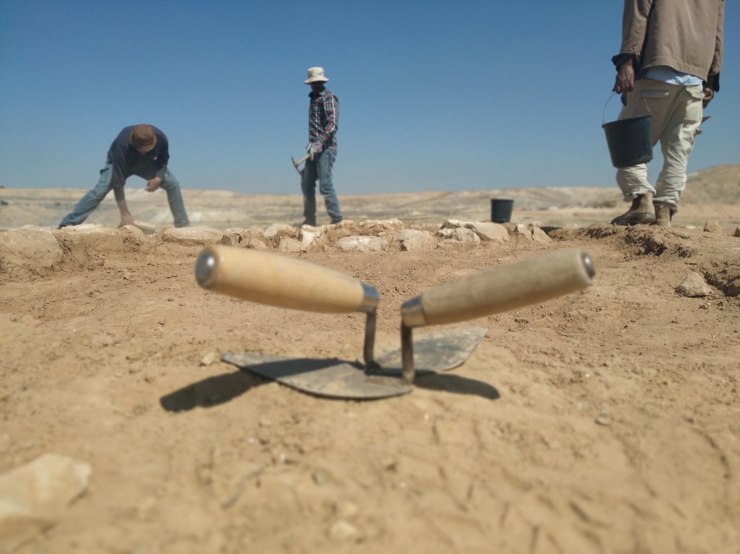 צילום: חזי נקש