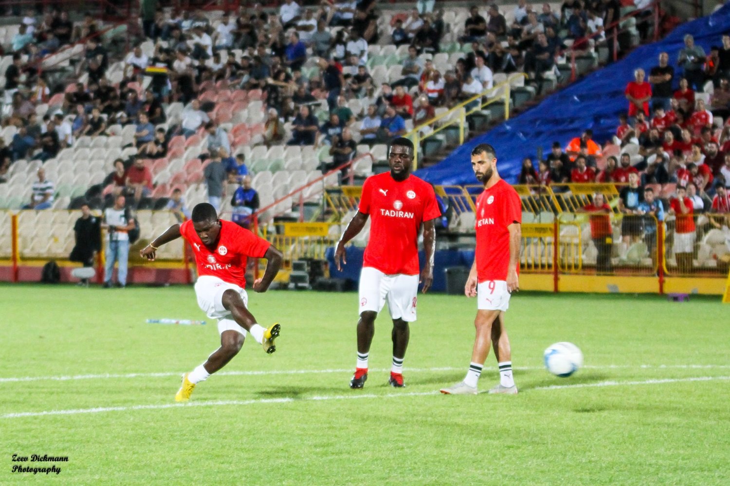 צילום: זאב דיקמן