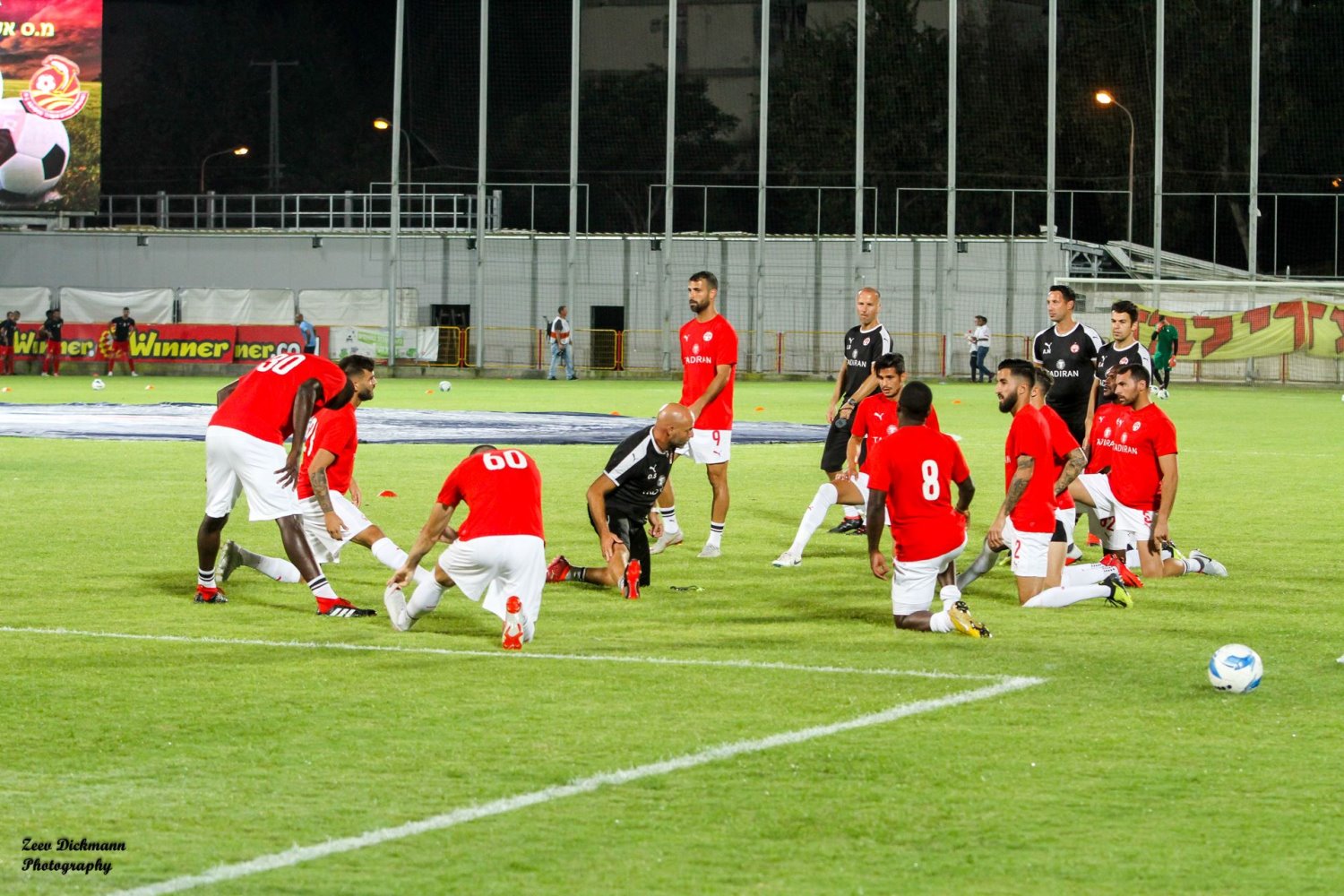 צילום: זאב דיקמן