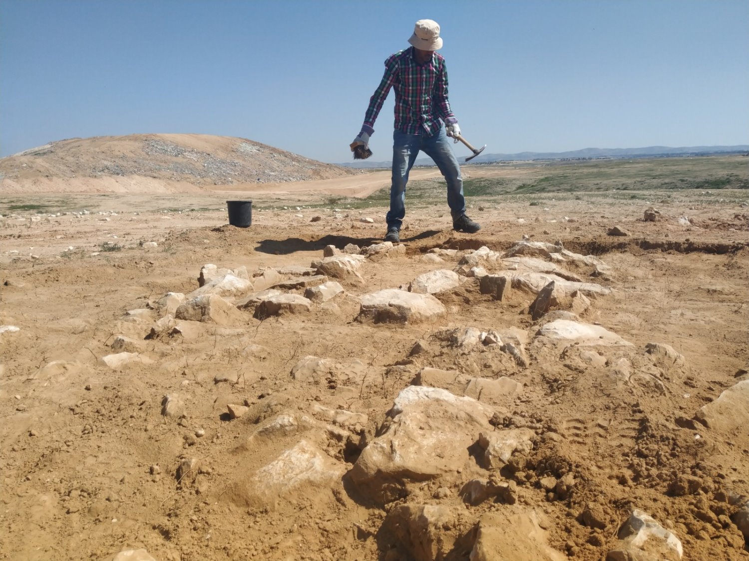 צילום: חזי נקש