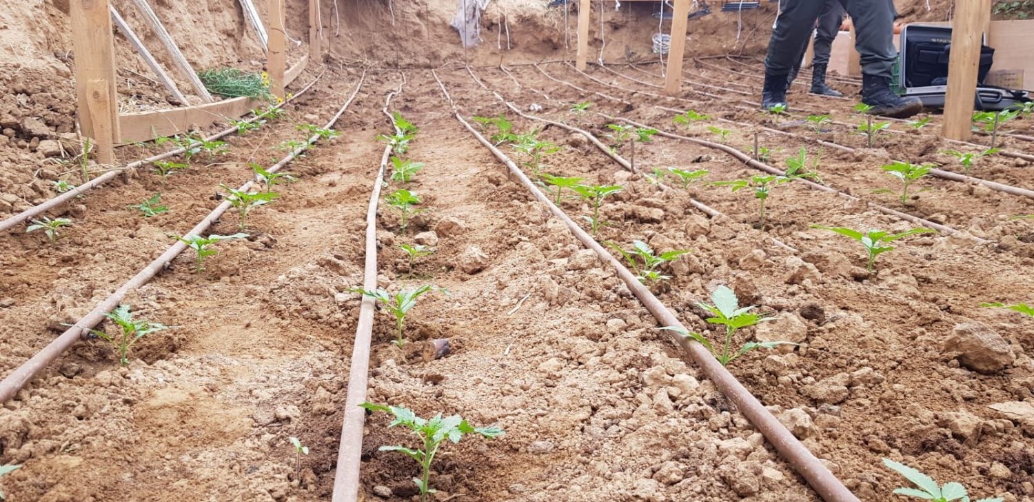 צילום באדיבות דוברות המשטרה