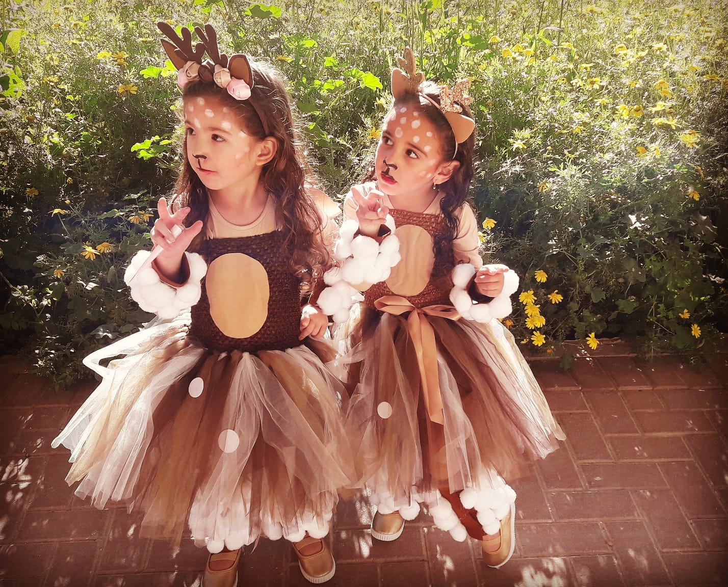 שיתפה: הודיה כהן אמרייב