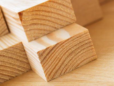 קרדיט תמונה שולץ בן מאיר