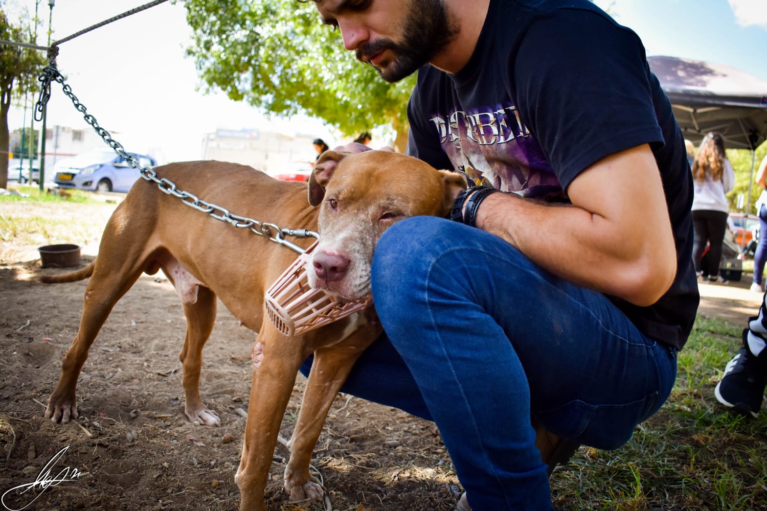 צילום: לאון נתן