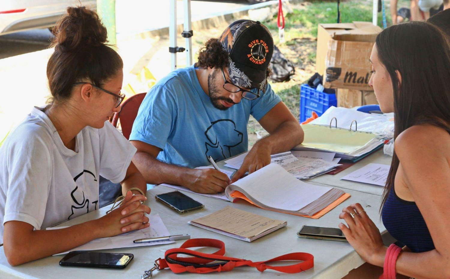 צילום: לאון נתן