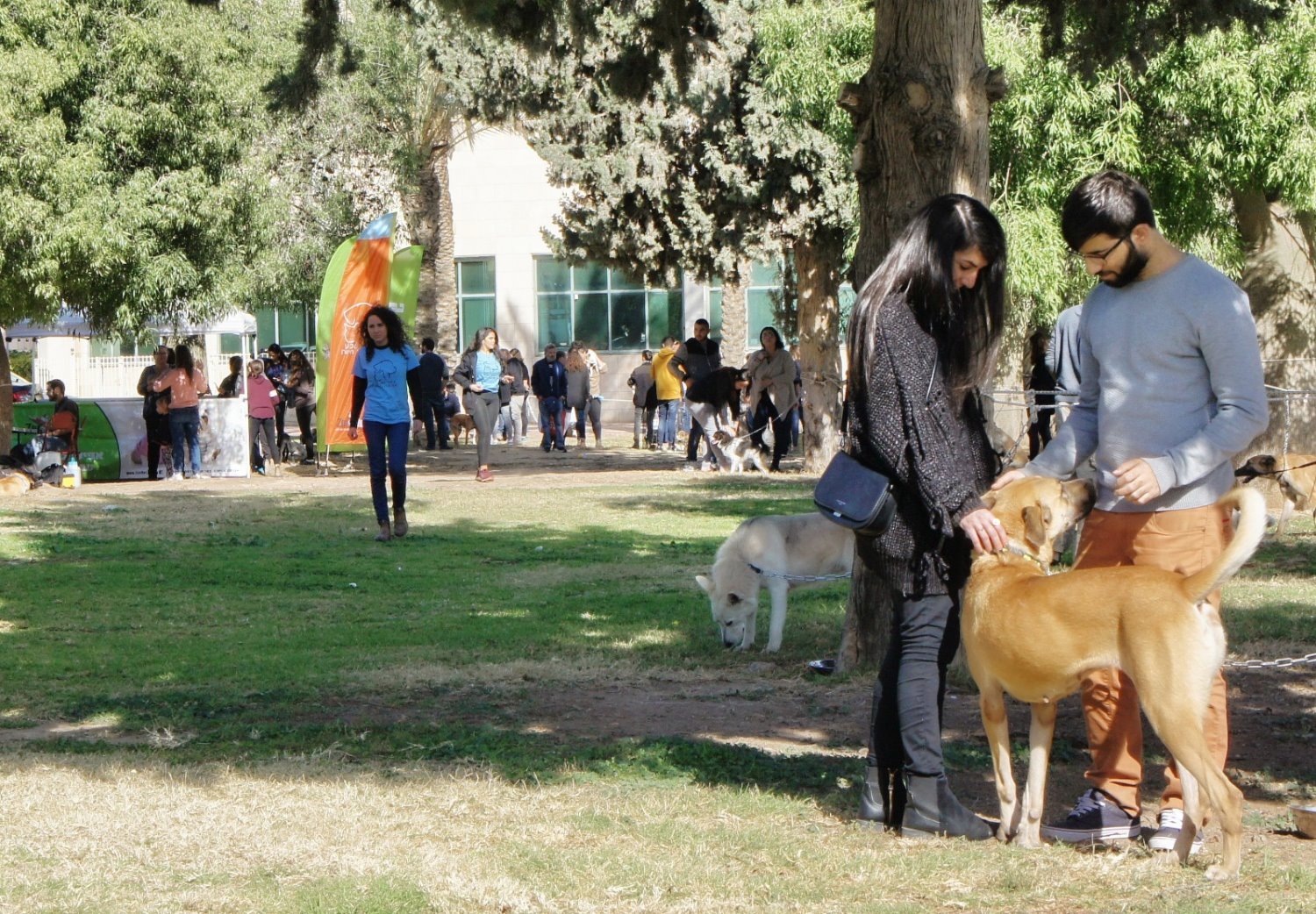 צילום: לאון נתן