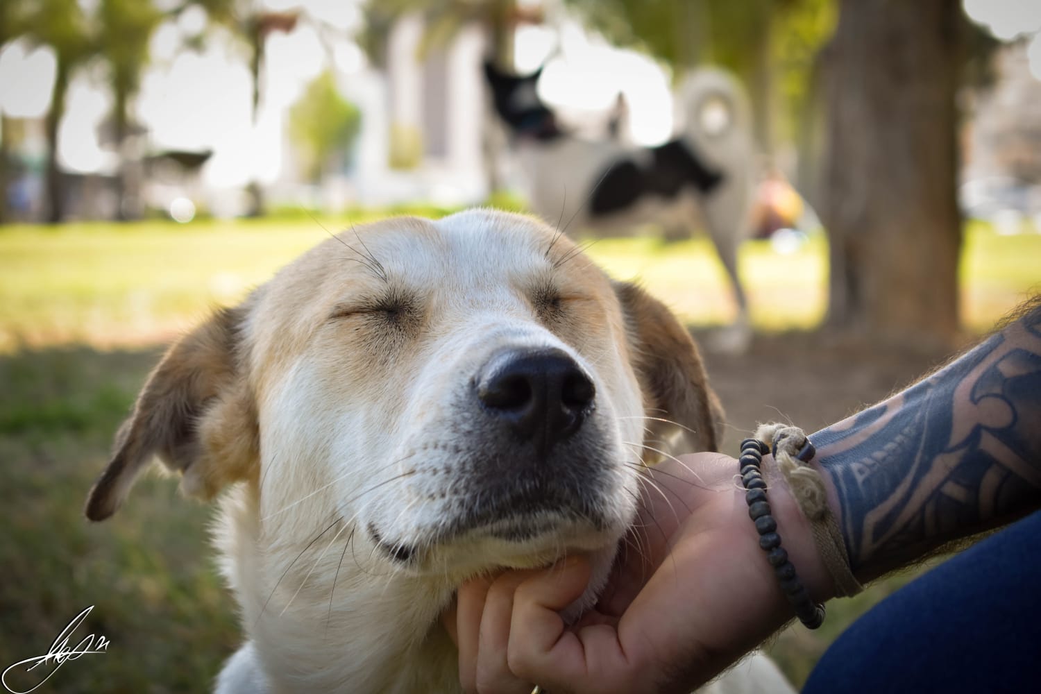 צילום: לאון נתן