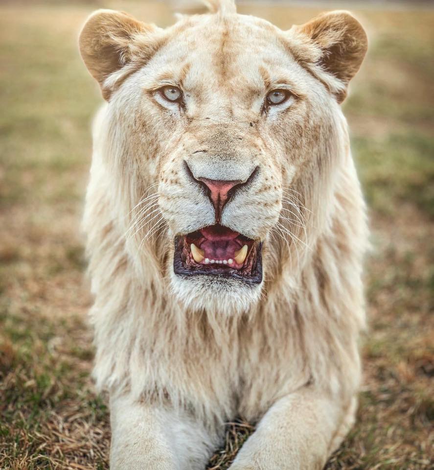 נגב ZOO. צילום: יחצ