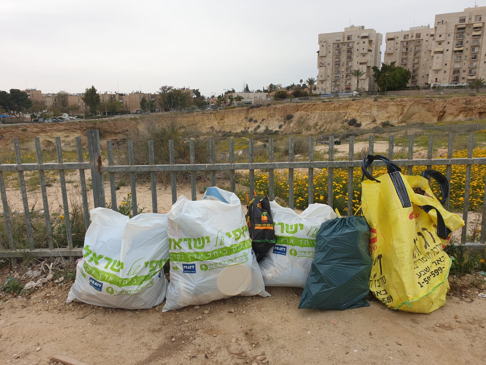 צילום: דניאל צ'שלה