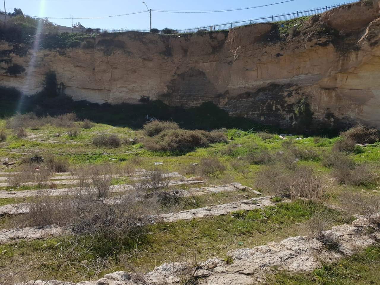 צילום: דניאל צ'שלה