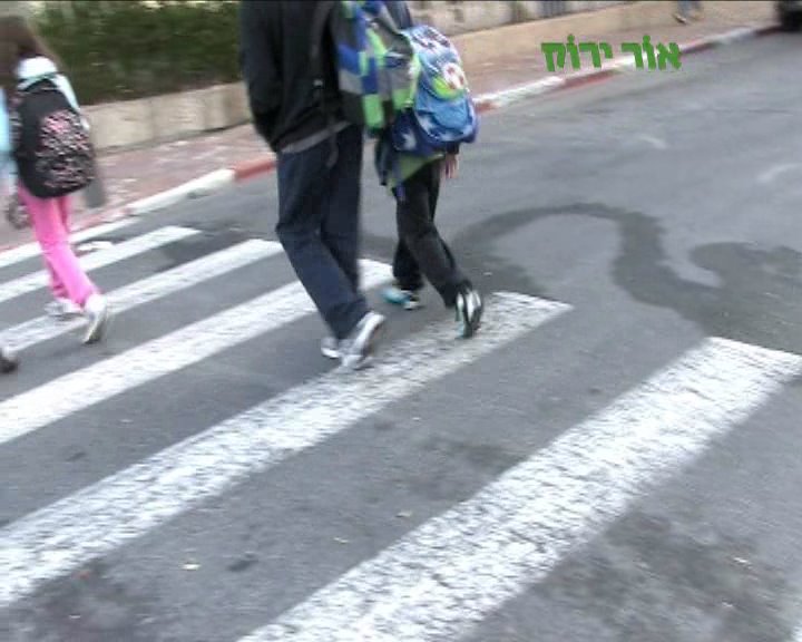 צילום: באדיבות עמותת אור ירוק