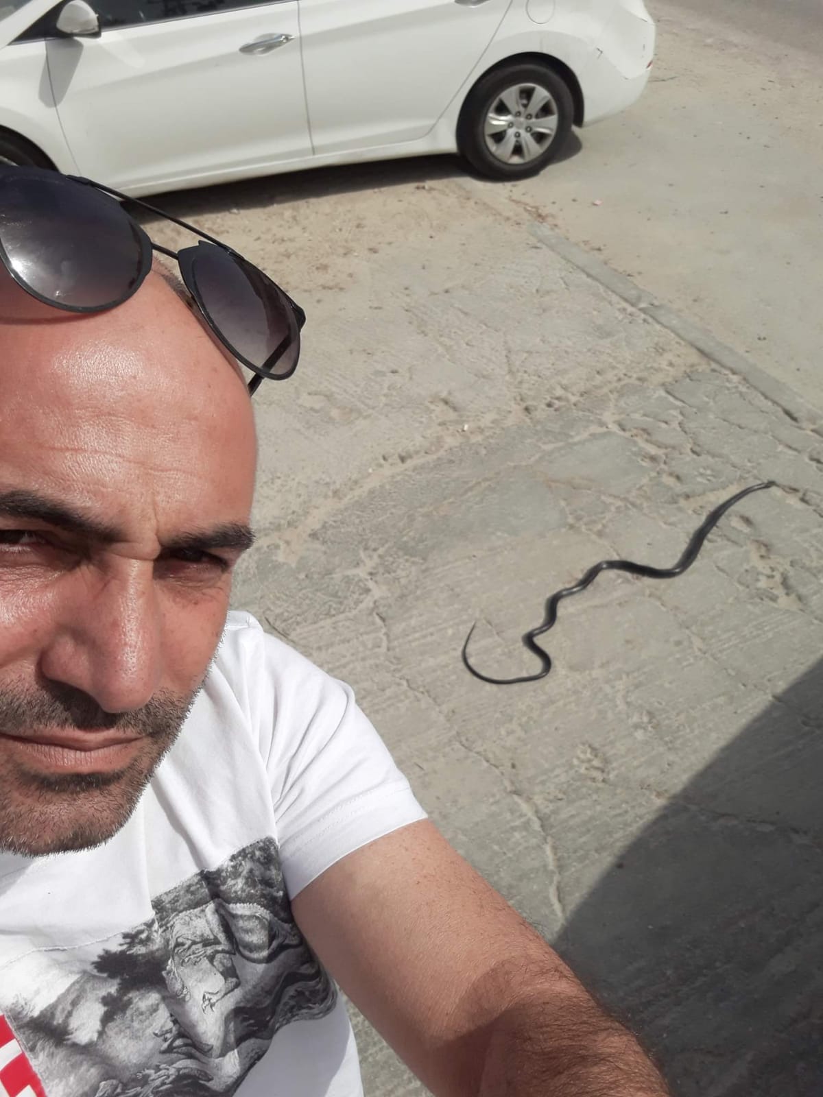 אבי אזורה עצר בצדי הכביש וגילה שמדובר בנחש