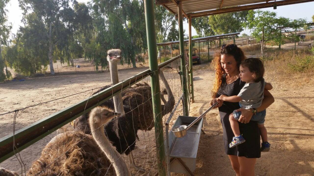 מתוך פייסבוק חוות אל היען