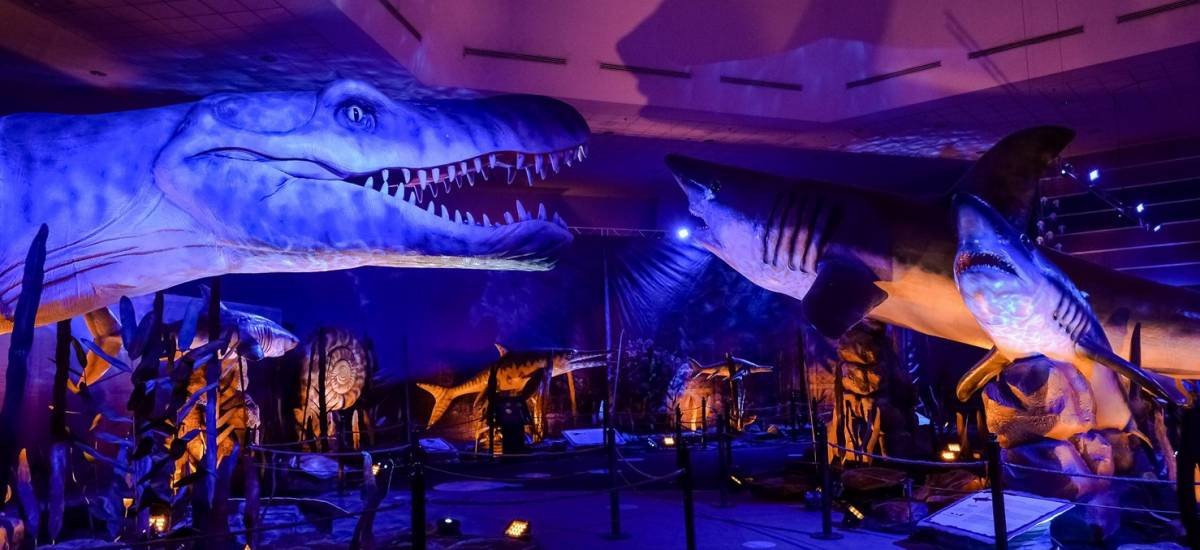 צילום ezequiel penia