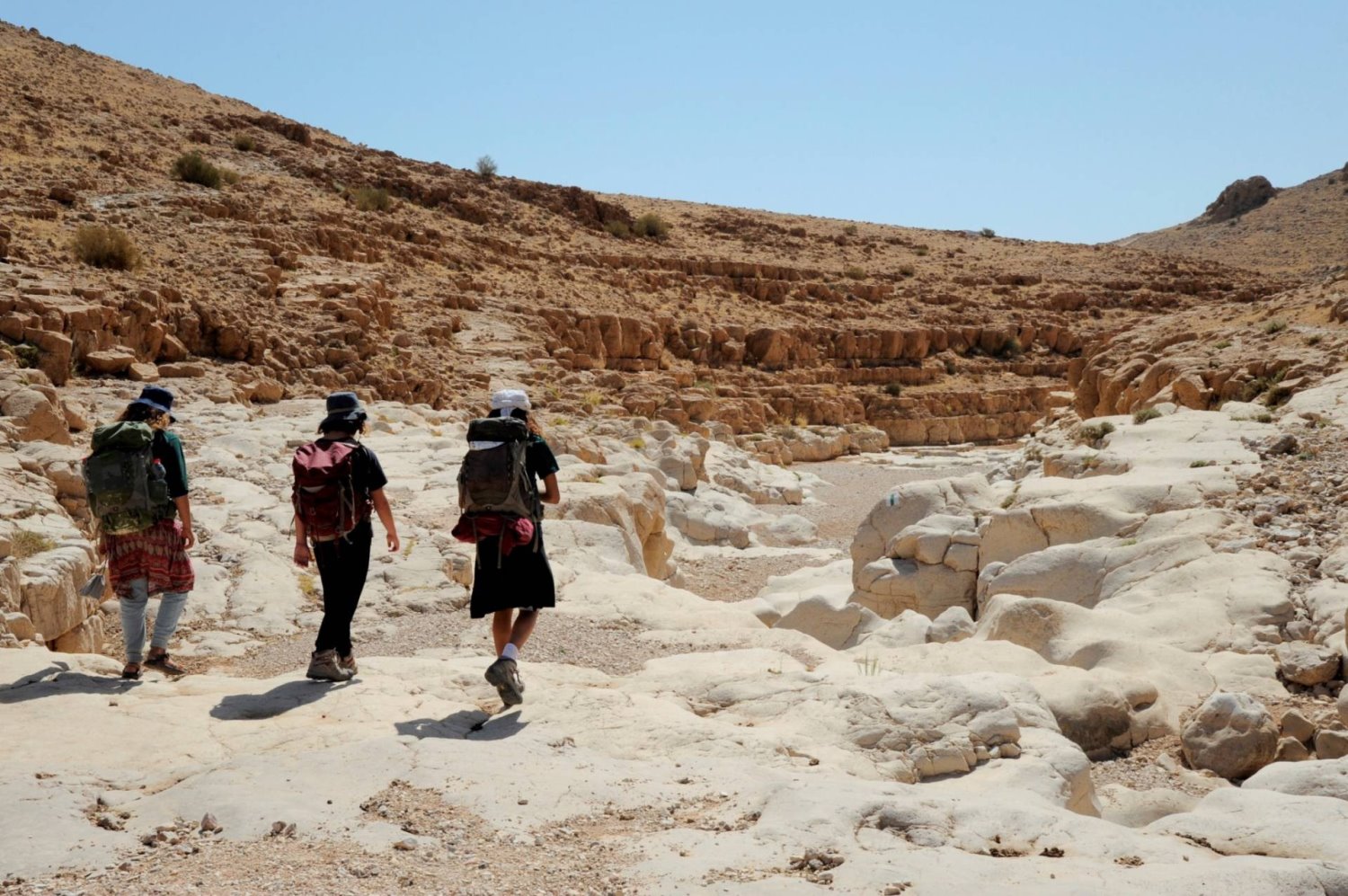 צילום סוסיא מרכז סיור ולימוד