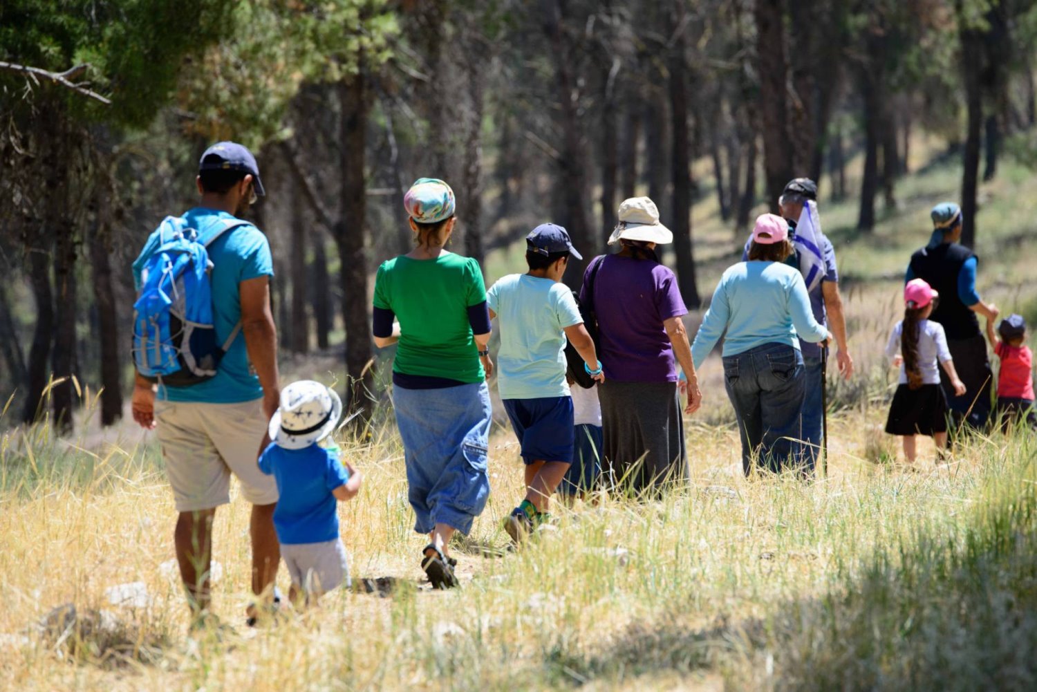 ארכיון הצילומים של קק"ל