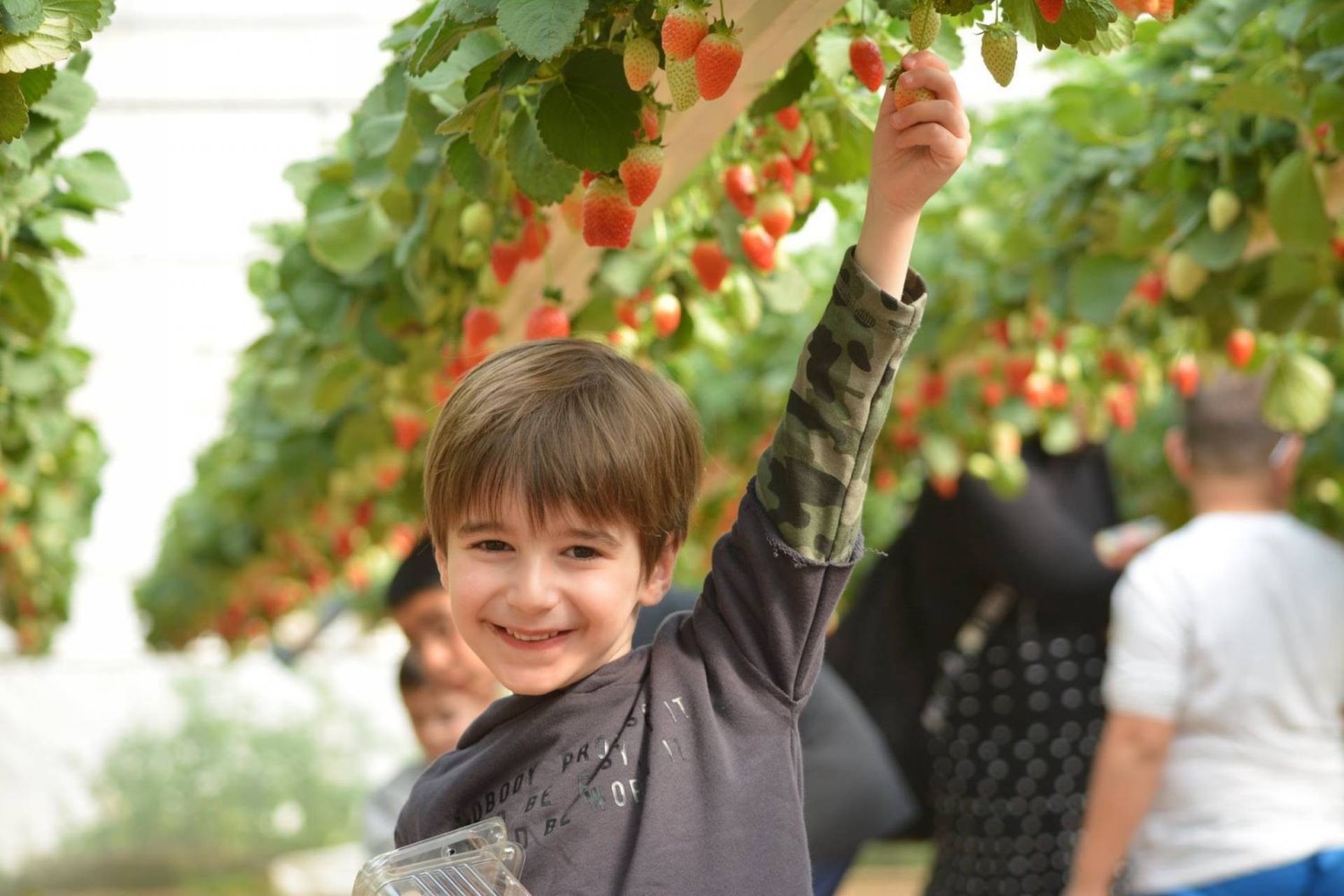 צילום אור טרבלסי