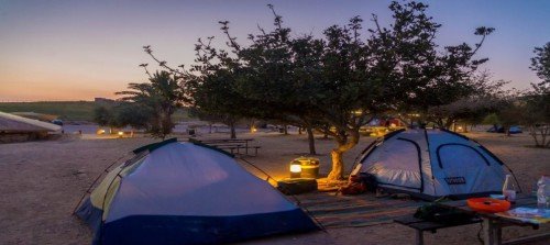 צילום מנו גרינשפן