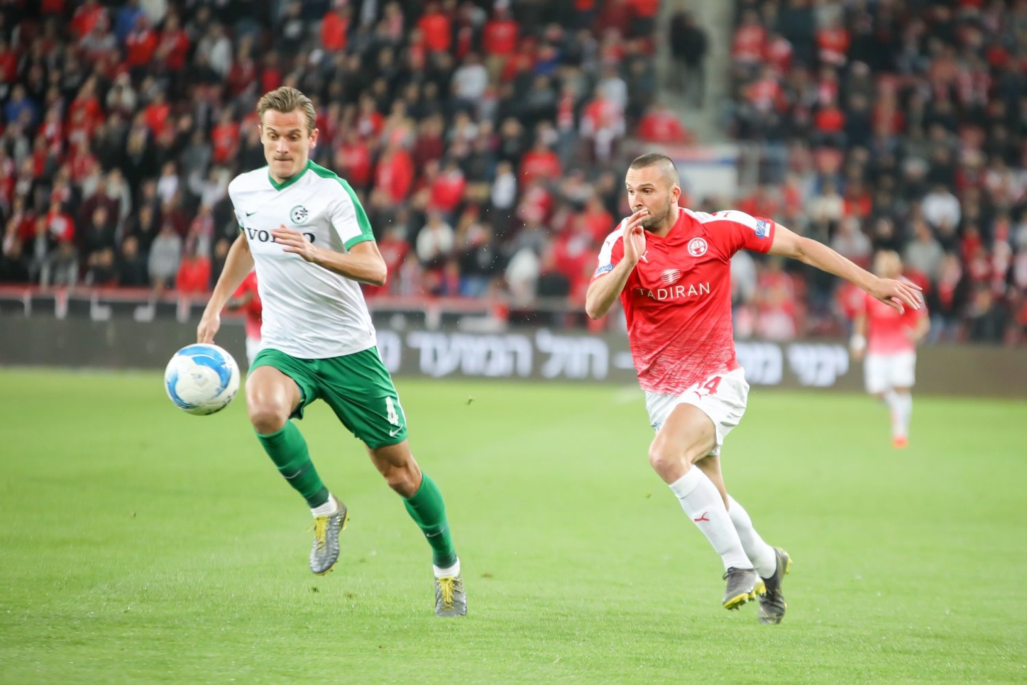 ימשיך לכבוש? בן שהר. צילום: זאב דיקמן