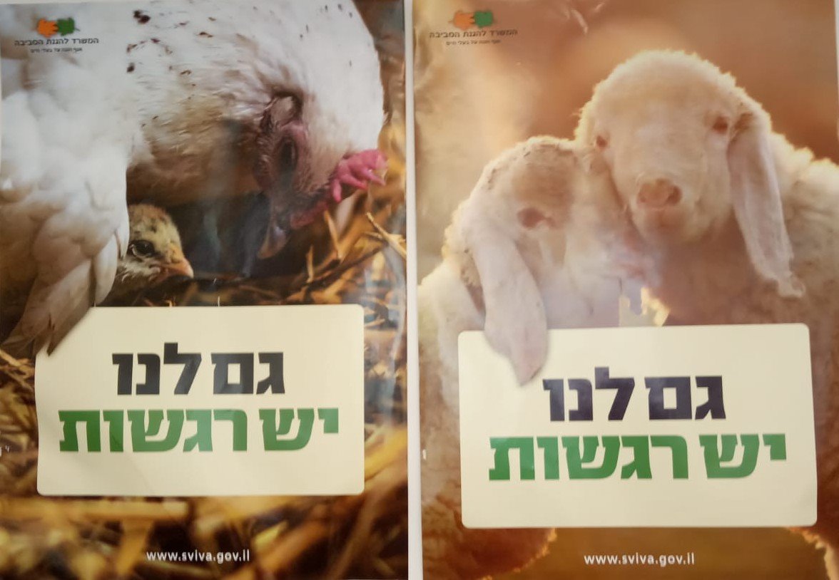 אנימלס למען זכויות בעלי החיים