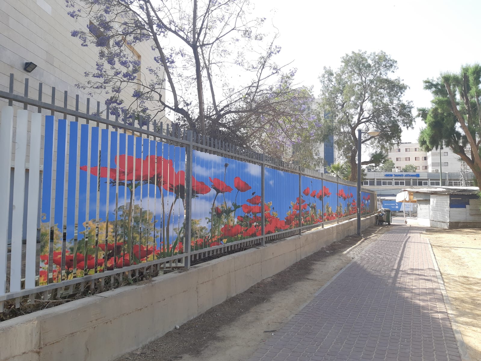 מאזור מוזנח לאזור מטופח צילום: יחצ ענת מרומי 