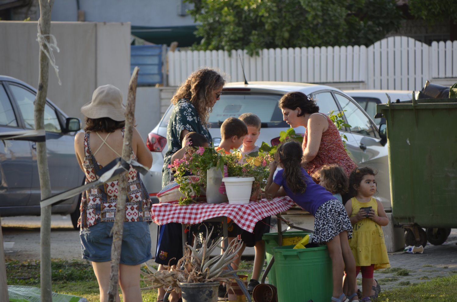 צילום תמיר בלוגורודסקי