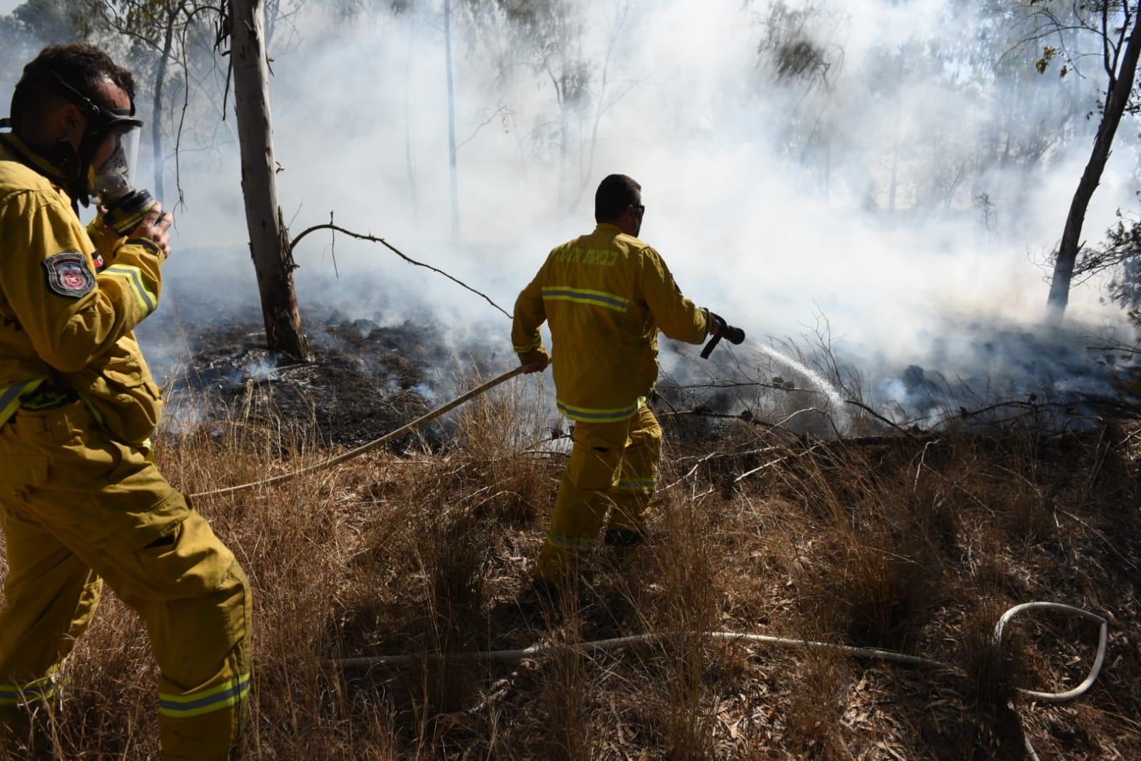 דוברות כב&quot;ה מחוז דרום