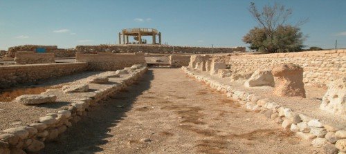 צילום צביקה צוק