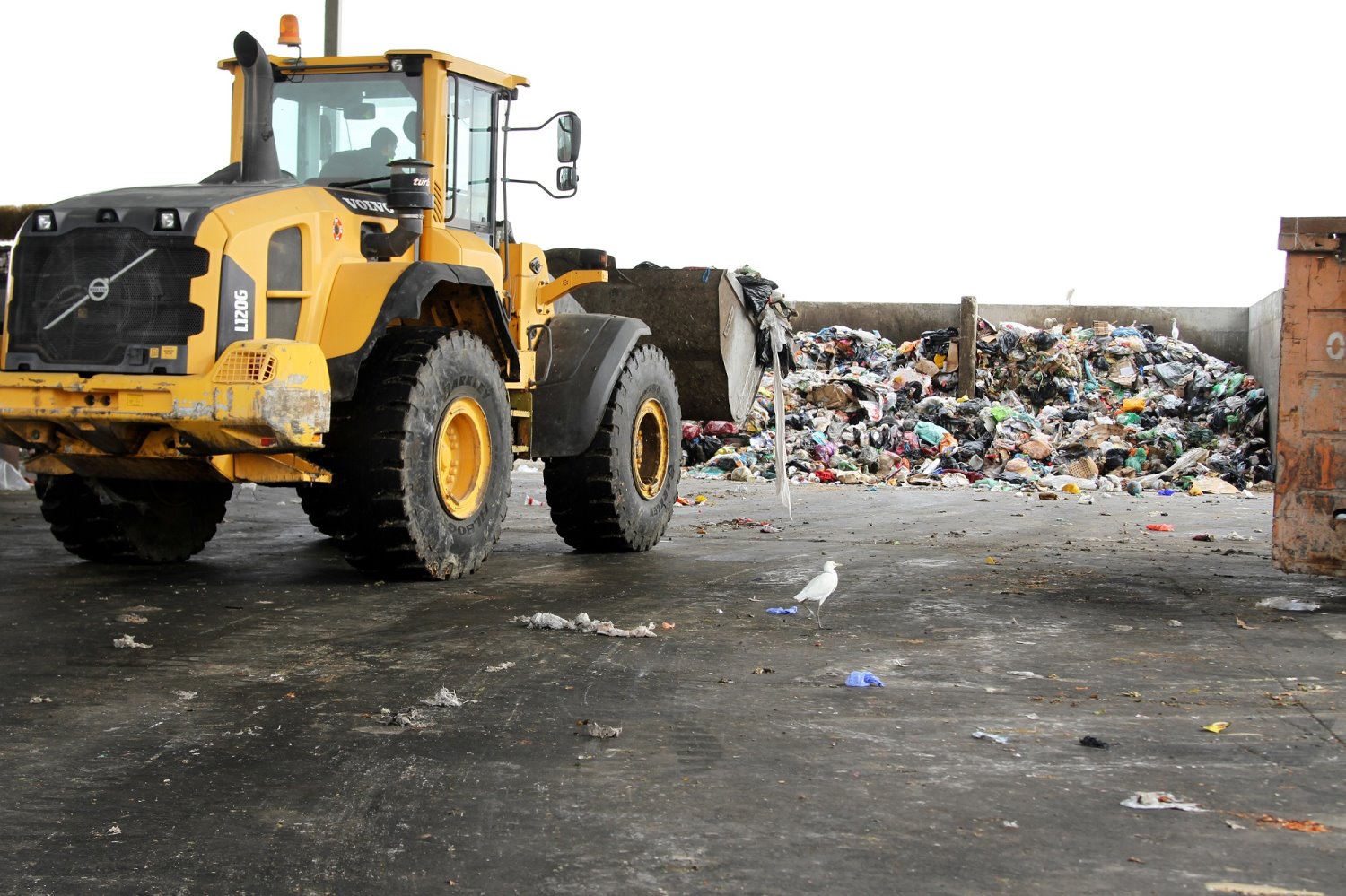 זה מה שעושים עם האשפה שלכם| צילום: עינת מולכו