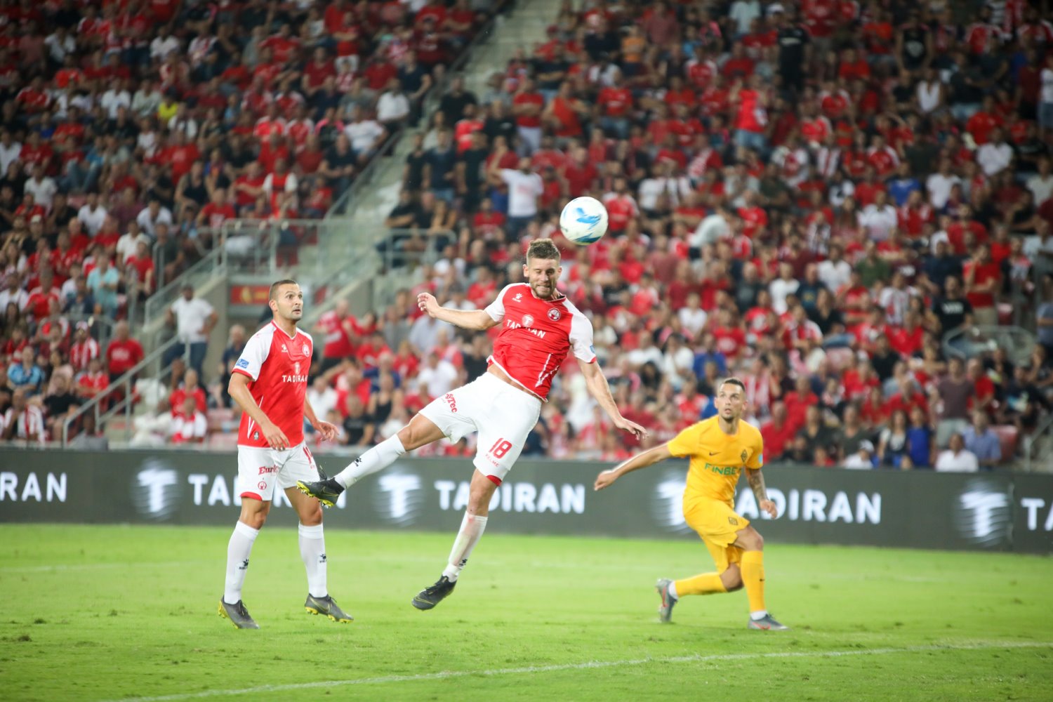 עדן שמיר | זאב דיקמן