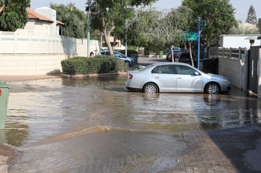 (צילום: זאב דיקמן)