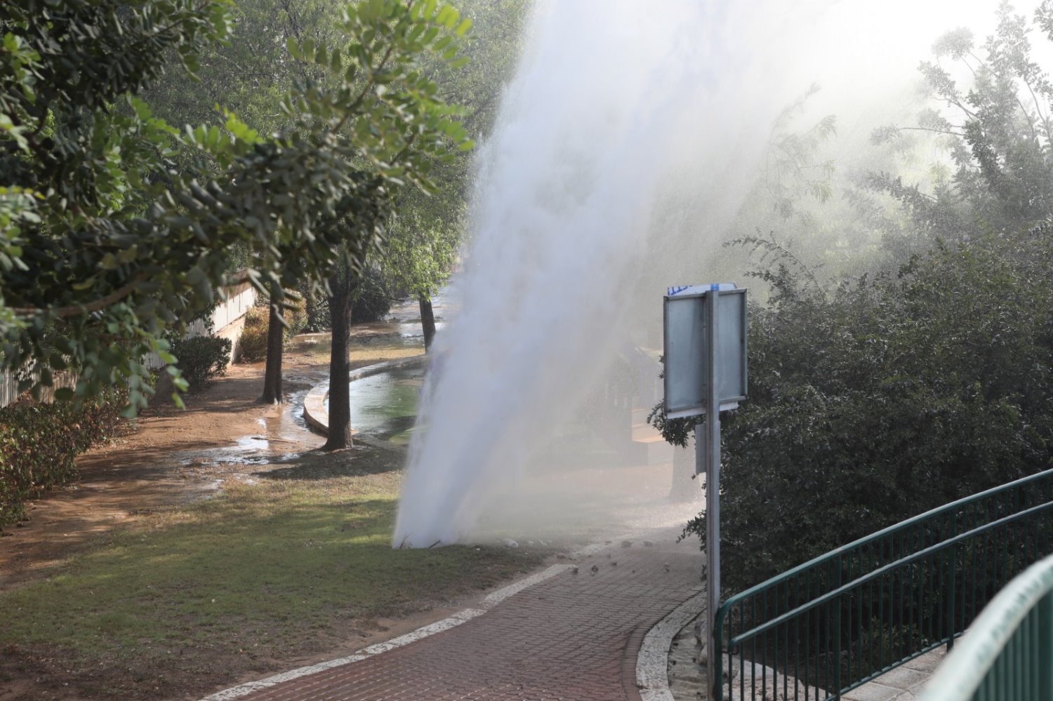 (צילום: זאב דיקמן)