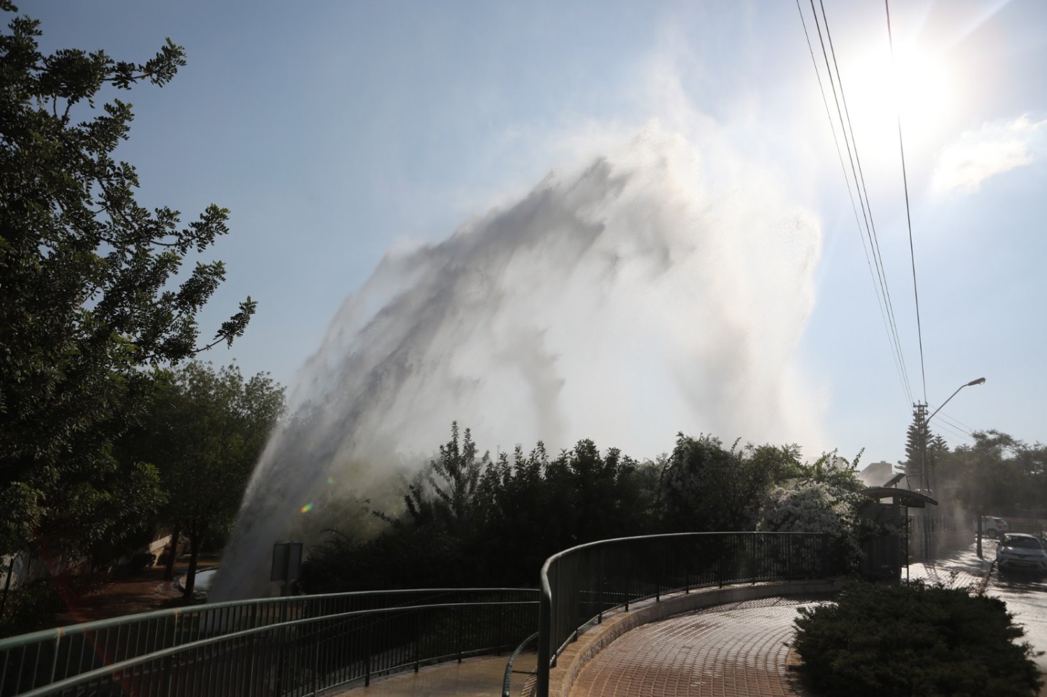 (צילום: זאב דיקמן)