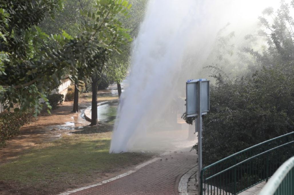 (צילום: זאב דיקמן)