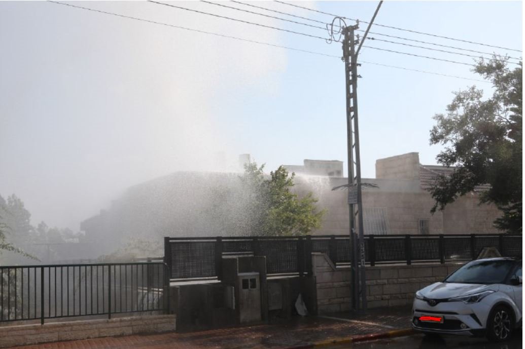 (צילום: זאב דיקמן)