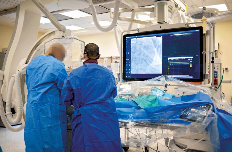 צילום: יואב דודקביץ'